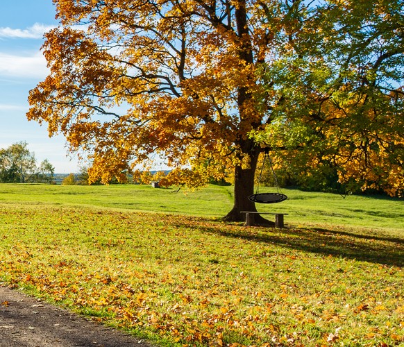 Huśtawka bocianie gniazdo 100 cm czarna - obrazek 10