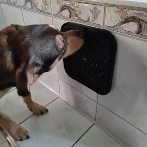 Mata antystresowa/ taca dla psa Purlov 19378 - obrazek 8