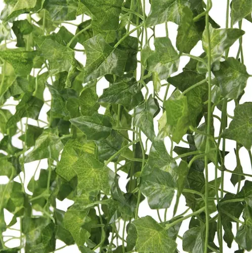 Sztuczny bluszcz- girlanda 12,6m Gardlov 19733 - obrazek 12