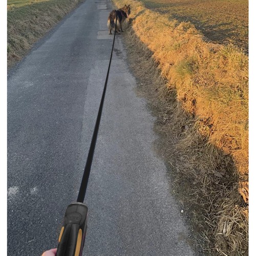 Smycz automatyczna dla psa 5m/15kg Purlov 19788 - obrazek 10