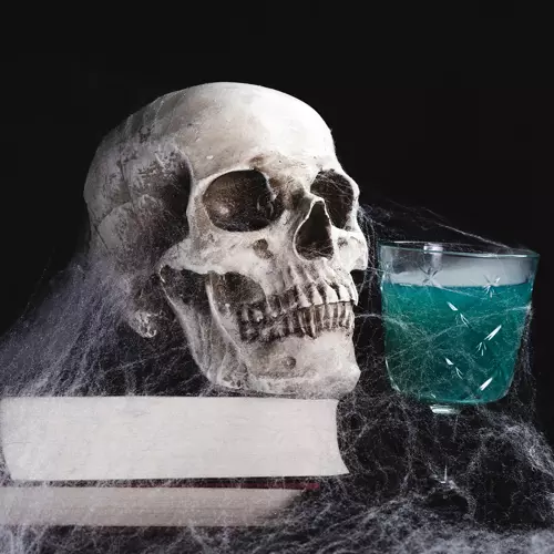 Sztuczna pajęczyna + 2 pająki Malatec 19759 - obrazek 8