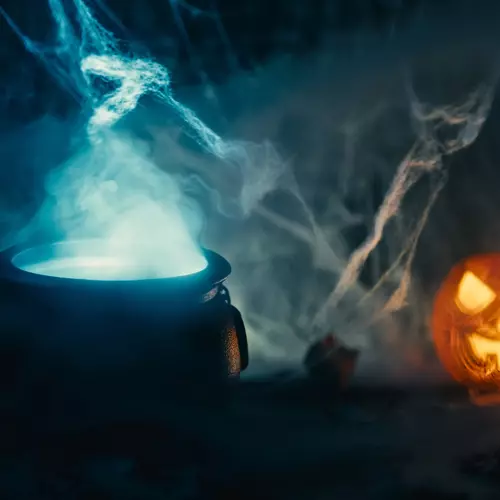 Sztuczna pajęczyna + 2 pająki Malatec 19759 - obrazek 6