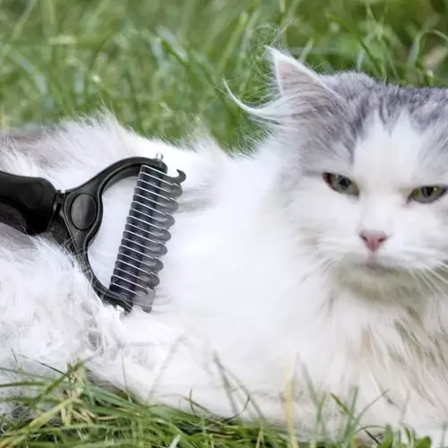 Trymer/ zgrzebło do sierści Purlov 20427 - obrazek 6