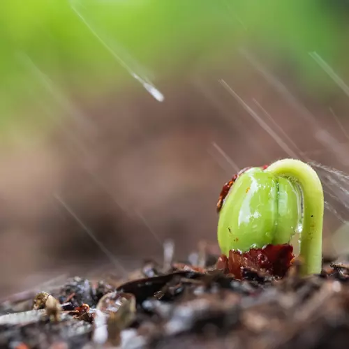 Zraszacz ogrodowy- kurtyna wodna 20m Gardlov 21213 - obrazek 12