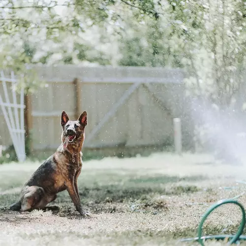 Zraszacz ogrodowy- kurtyna wodna 20m Gardlov 21213 - obrazek 15