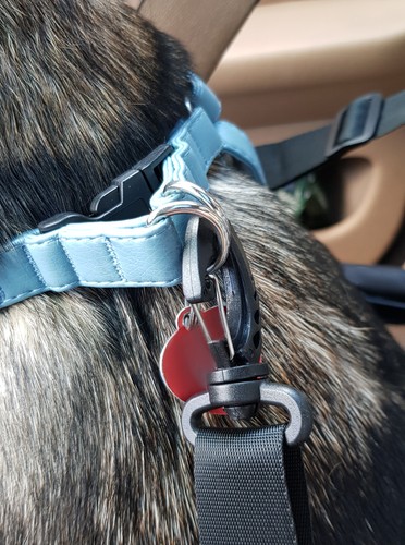 Transporter dla psa na siedzenie Purlov 20973 - obrazek 14