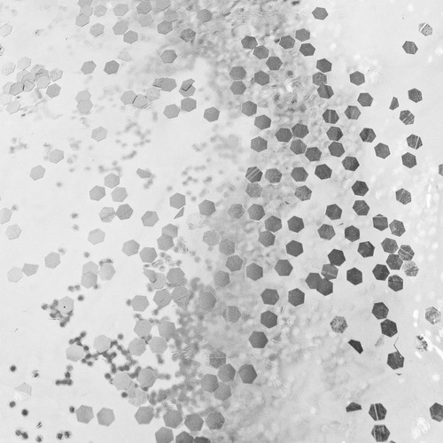 Koło dmuchane z brokatem Malatec 20930 - obrazek 6