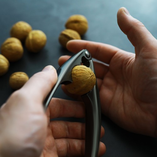 Dziadek do orzechów- szczypce Ruhhy 22139 - obrazek 8