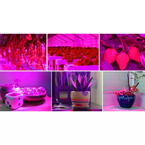 Lampa/ panel 225 LED do wzrostu uprawy rośl. 23525 - obrazek 16