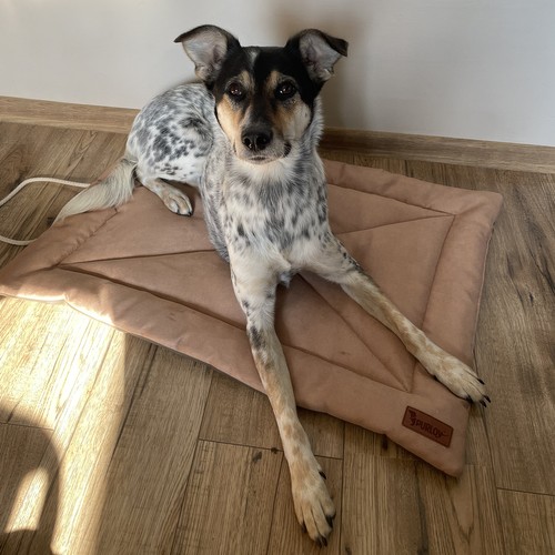 Legowisko dla psa Purlov 24594 - obrazek 16