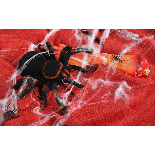 Pająk zdalnie sterowany 22445 - obrazek 14