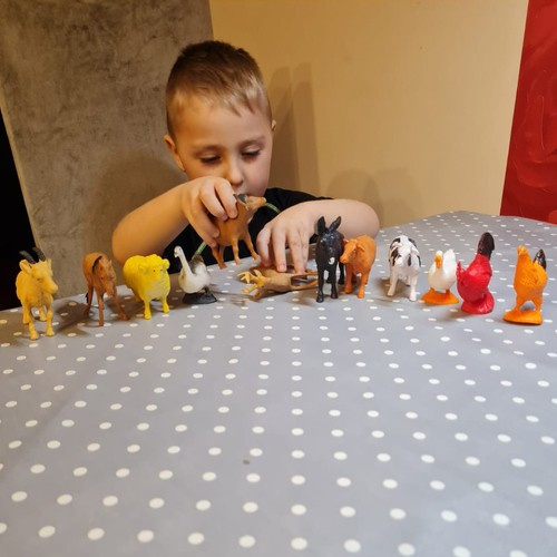 Zwierzęta gospodarskie - zestaw figurek Kruzzel - obrazek 9