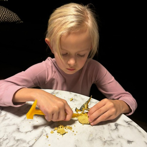 Kopalnia dinozaurów - wykopaliska Kruzzel 24982 - obrazek 13