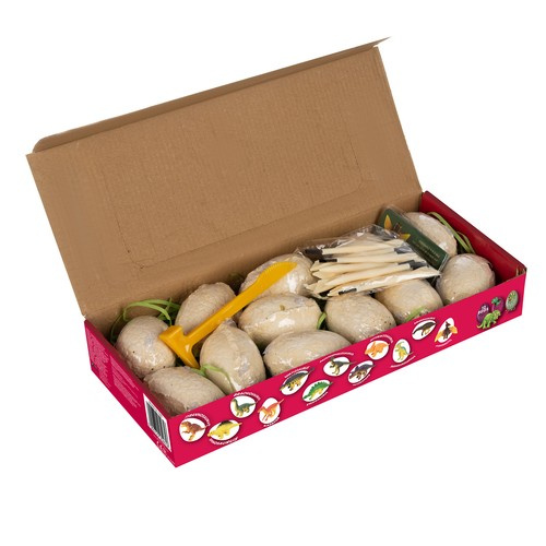 Kopalnia dinozaurów - wykopaliska Kruzzel 24982 - obrazek 7