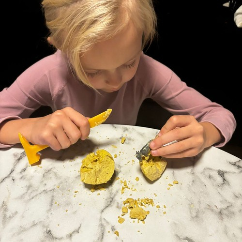 Kopalnia dinozaurów - wykopaliska Kruzzel 24982 - obrazek 11