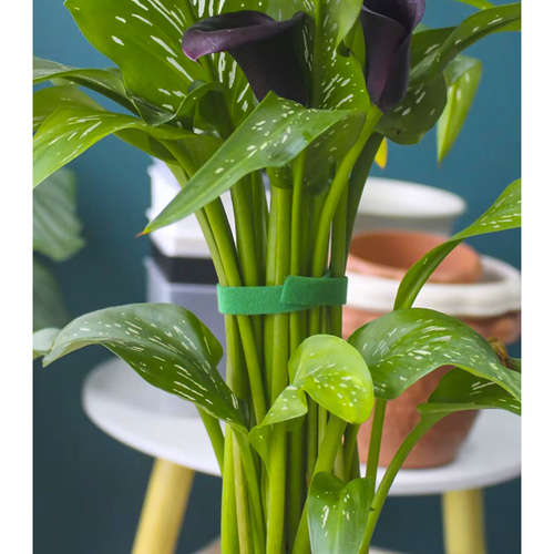 Rzep- taśma ogrodnicza 5m Gardlov 25362 - obrazek 10