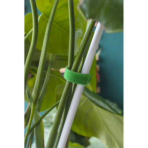 Rzep- taśma ogrodnicza 5m Gardlov 25362 - obrazek 15